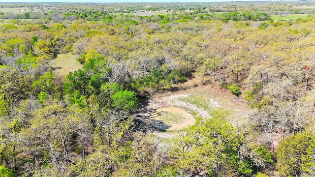 7885 Old Agnes Rd, Poolville, TX 76487