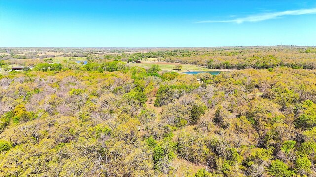 7885 Old Agnes Rd, Poolville, TX 76487