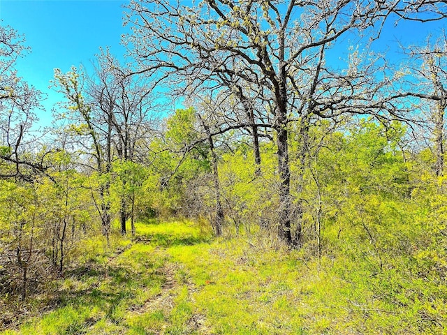 7885 Old Agnes Rd, Poolville, TX 76487