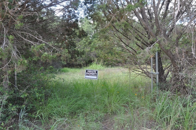 Listing photo 2 for TBD County Road 2440, Iredell TX 76649