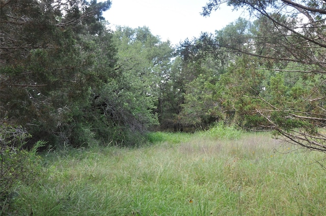 Listing photo 3 for TBD County Road 2440, Iredell TX 76649