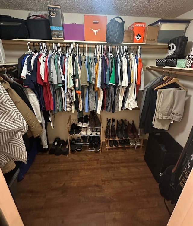 spacious closet featuring hardwood / wood-style flooring