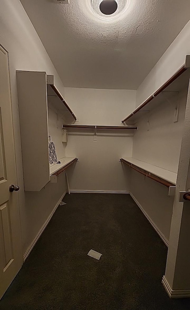 walk in closet featuring dark colored carpet