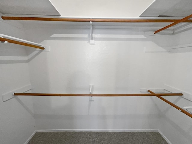 spacious closet featuring carpet floors