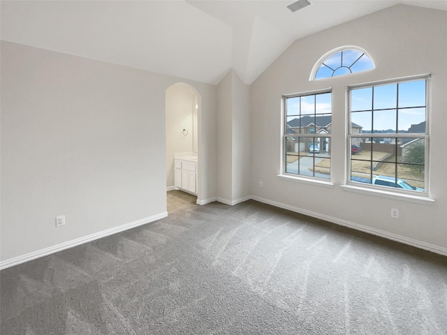 interior space featuring lofted ceiling, a healthy amount of sunlight, and carpet