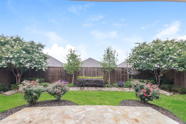 view of yard with a patio