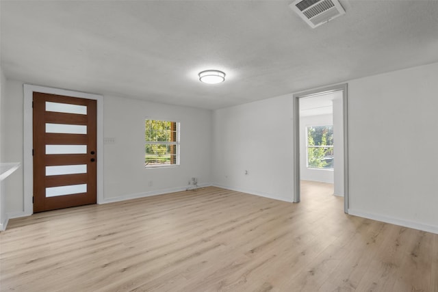 foyer with a wealth of natural light, light hardwood / wood-style flooring, and a textured ceiling