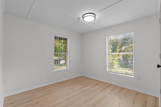 empty room featuring plenty of natural light and light wood-type flooring