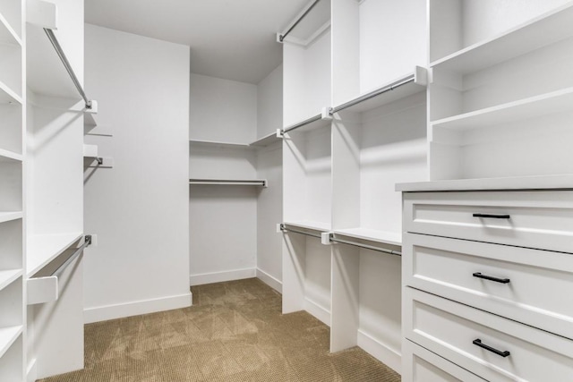 walk in closet with light colored carpet