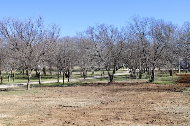 view of yard with a rural view