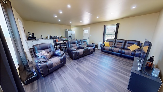 living room featuring hardwood / wood-style floors