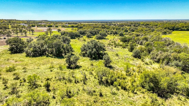 Listing photo 3 for 000S Ox Mill Creek Rd, Weatherford TX 76087