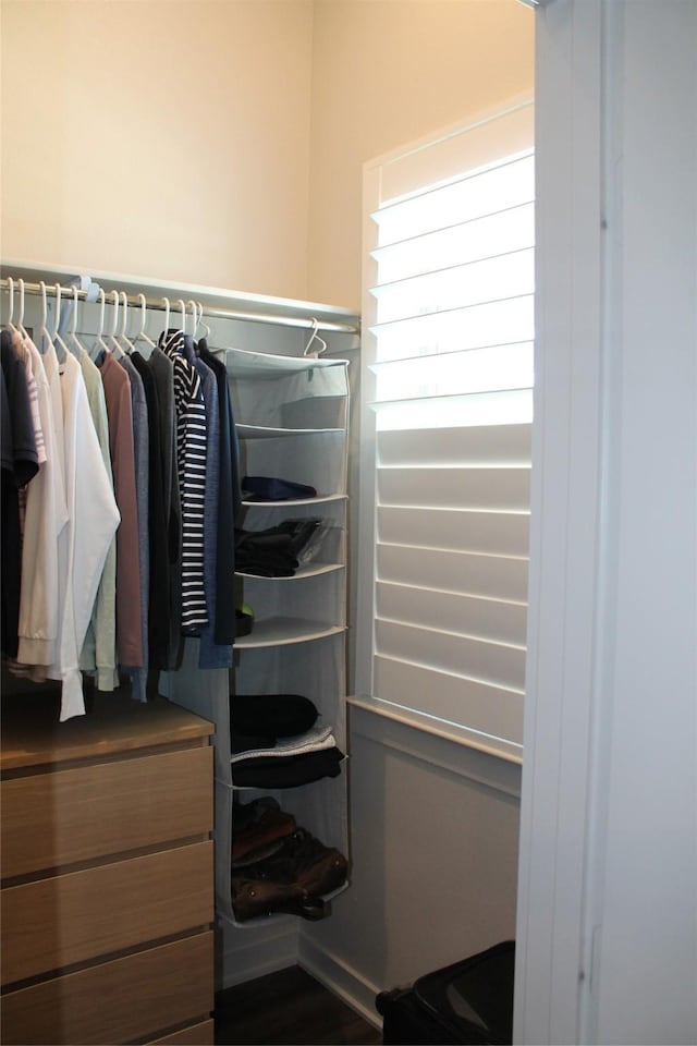 view of spacious closet