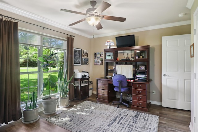 office featuring dark wood-type flooring, ceiling fan, and ornamental molding