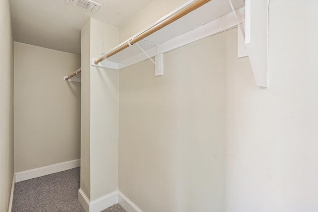 walk in closet with carpet flooring