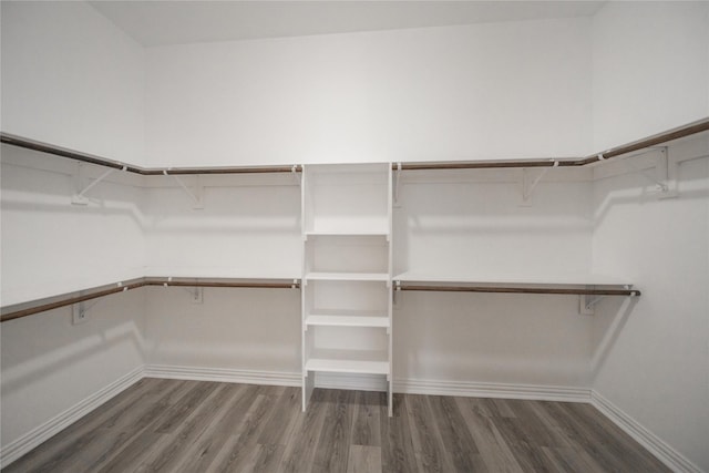 walk in closet with dark wood-type flooring