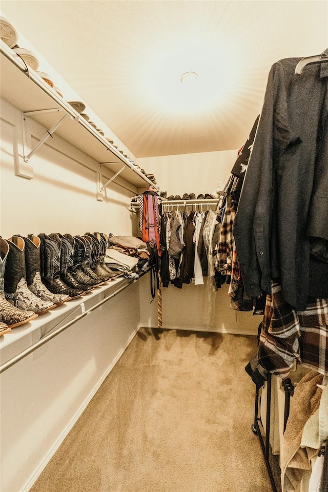 walk in closet with light carpet