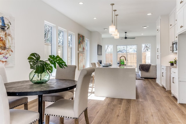 dining room featuring ceiling fan and light hardwood / wood-style floors