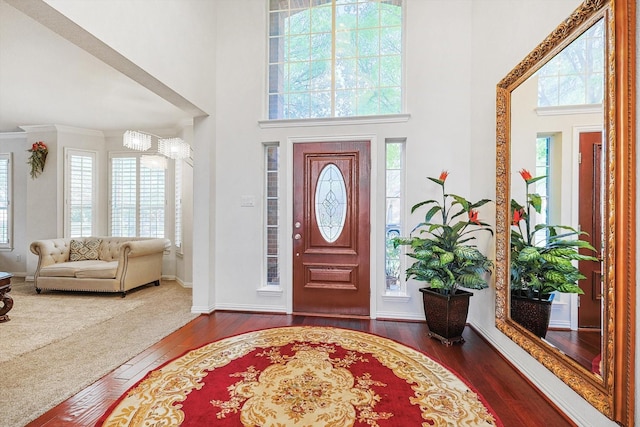 entryway featuring a high ceiling, crown molding, plenty of natural light, and dark wood-type flooring