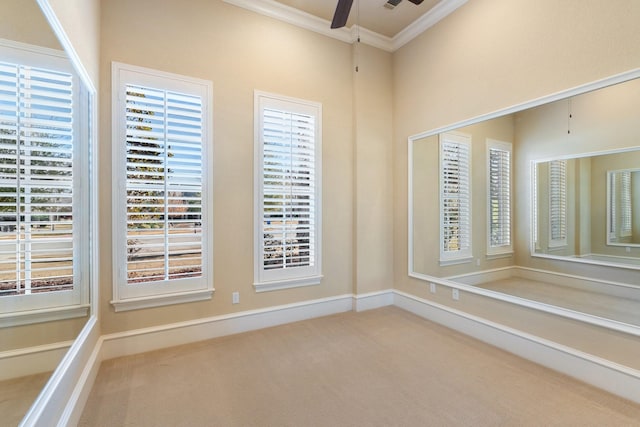 unfurnished room featuring a wealth of natural light, ornamental molding, ceiling fan, and carpet