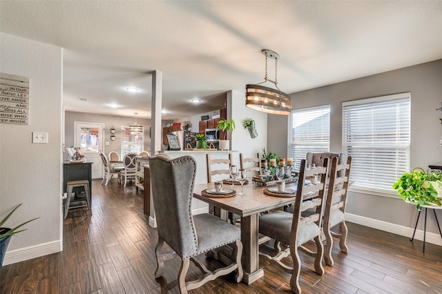 dining area featuring dark hardwood / wood-style flooring