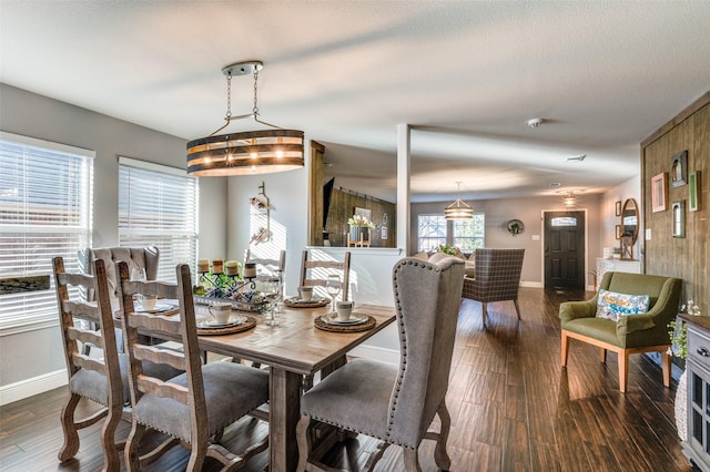 dining room with dark hardwood / wood-style flooring and a textured ceiling