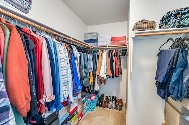 spacious closet featuring carpet