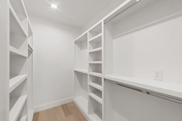 spacious closet featuring light hardwood / wood-style flooring