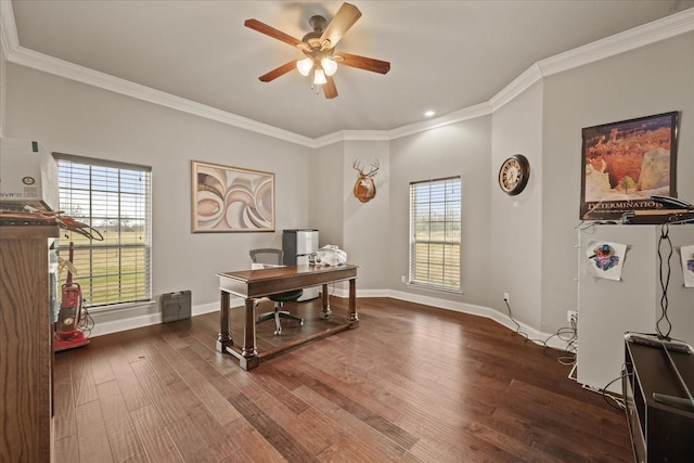 office area featuring ceiling fan, ornamental molding, and dark hardwood / wood-style flooring