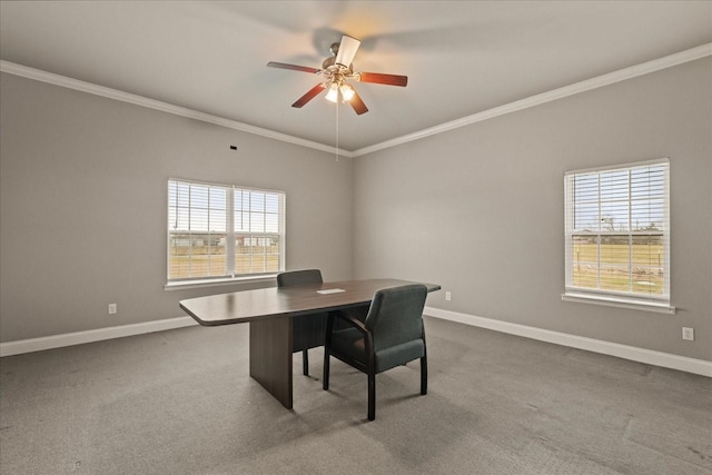 carpeted office space featuring ornamental molding and ceiling fan