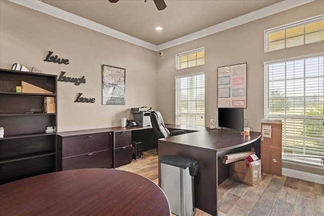 office with crown molding, ceiling fan, and light wood-type flooring