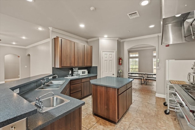 kitchen with sink, ornamental molding, and a kitchen island