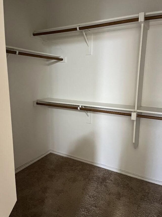 14125 Rabbit Brush Ln, Fort Worth, TX 76052 - spacious closet with dark carpet