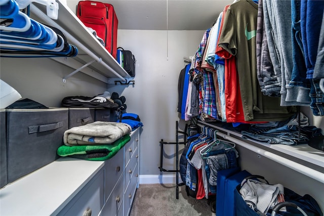 spacious closet featuring carpet