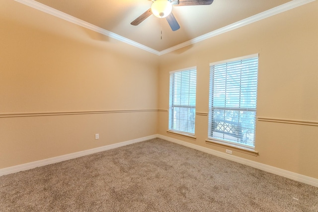 unfurnished room featuring ornamental molding, ceiling fan, and carpet