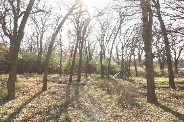 view of local wilderness