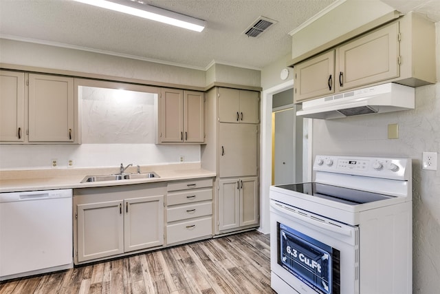 kitchen featuring light countertops, white appliances, visible vents, and under cabinet range hood