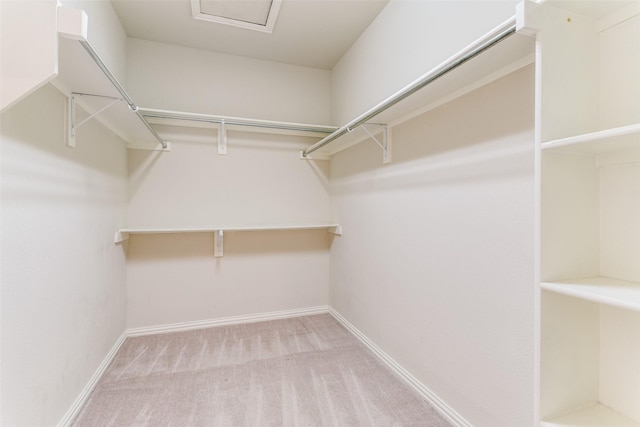 walk in closet featuring light colored carpet