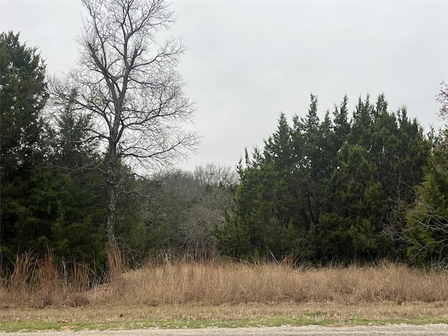 1141 Neches Trl, Whitney TX, 76692 land for sale