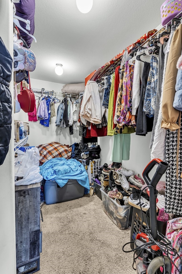 walk in closet featuring carpet flooring