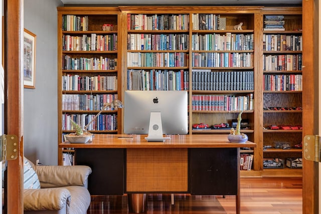 office space featuring wood-type flooring