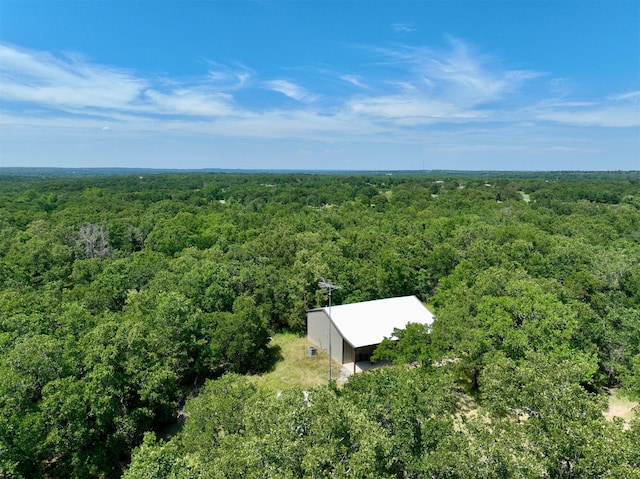 7101 Advance Rd, Poolville TX, 76487 land for sale