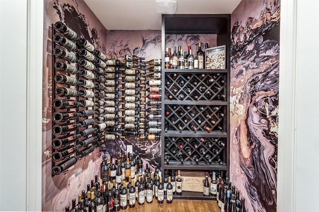 wine room featuring hardwood / wood-style flooring