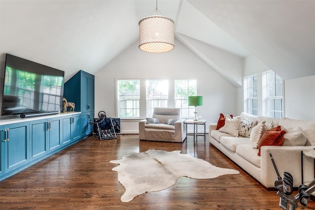 living room featuring lofted ceiling and dark hardwood / wood-style floors