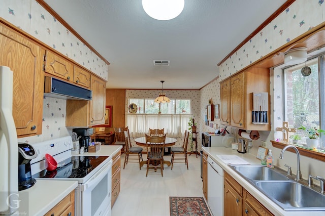 kitchen featuring sink, decorative light fixtures, ornamental molding, a wealth of natural light, and white appliances