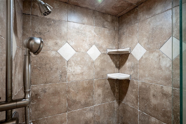 interior details with walk in shower