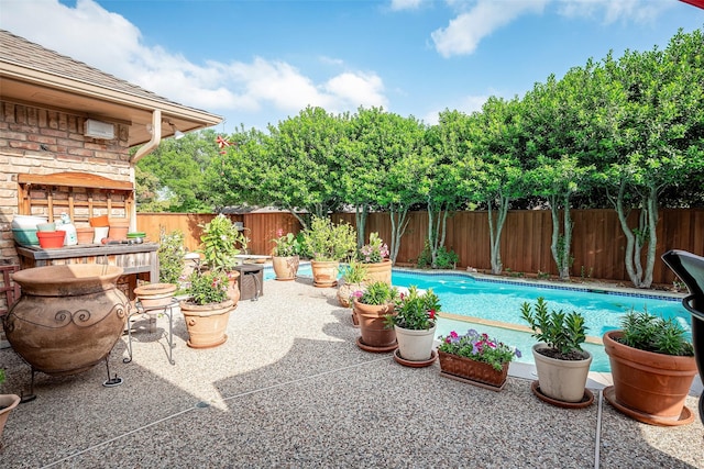 view of swimming pool featuring a patio