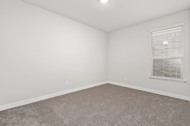 spare room featuring carpet floors