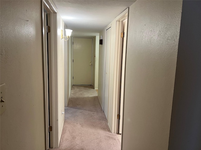 hall featuring light carpet and a textured wall