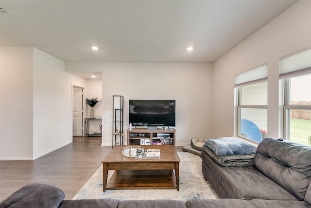 living room with hardwood / wood-style flooring